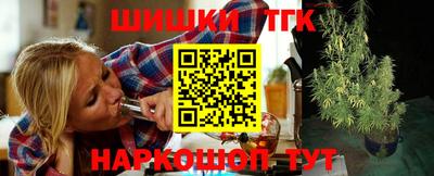 ECSTASY Камышлов