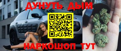 ECSTASY Камышлов