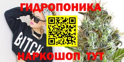 гашик Кимры