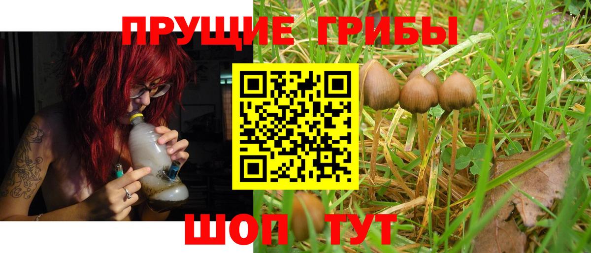 Галлюциногенные грибы Psilocybe  Вход с VPN  Красноярск  Галлюциногенные грибы Cubensis 